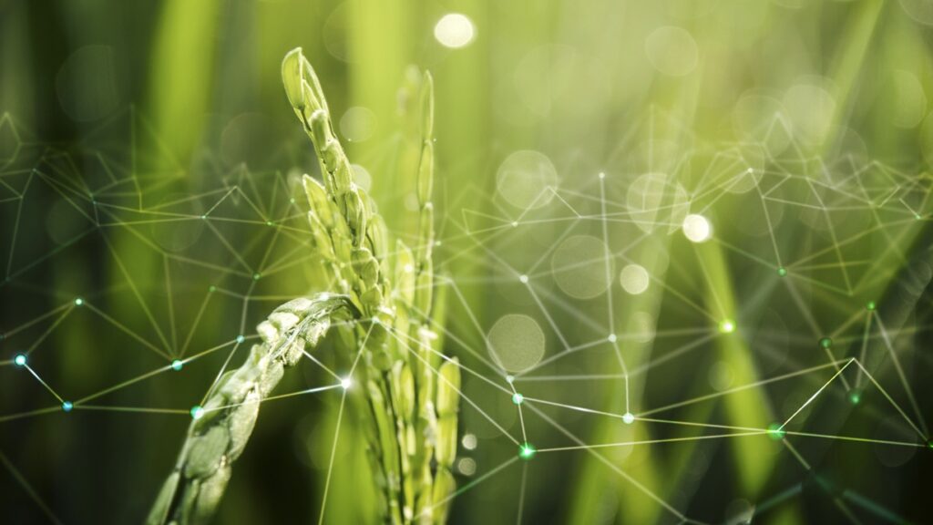 ESG: Ushering in a New Era of Global Business Sustainability, Accountability, and Impact